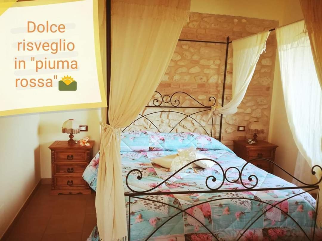 Il Poggio Dei Pettirossi Διαμέρισμα Pettorano sul Gizio Εξωτερικό φωτογραφία