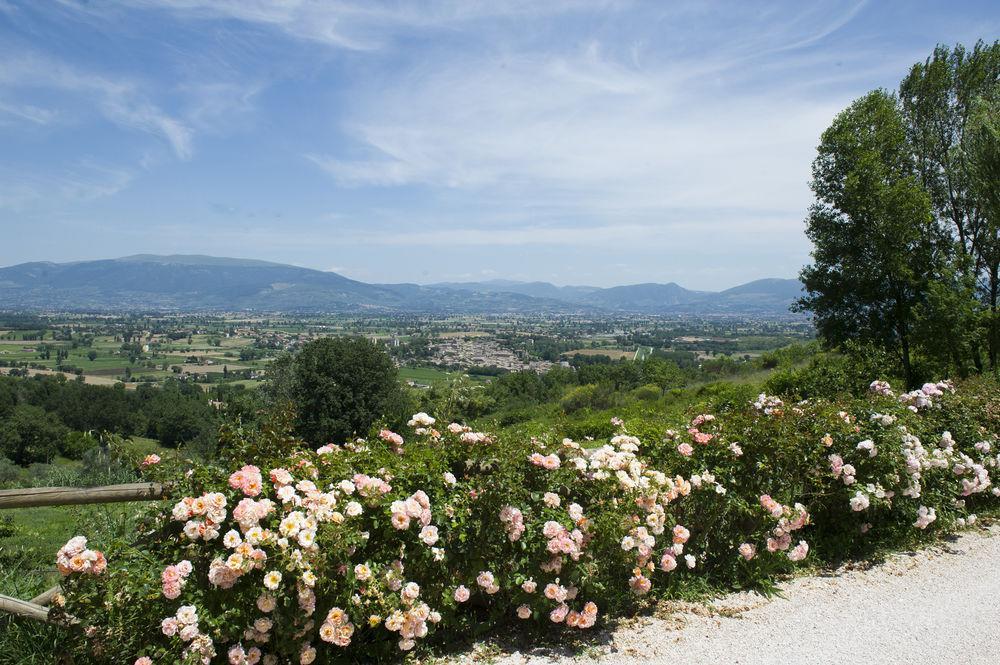 Il Poggio Dei Pettirossi Διαμέρισμα Pettorano sul Gizio Εξωτερικό φωτογραφία